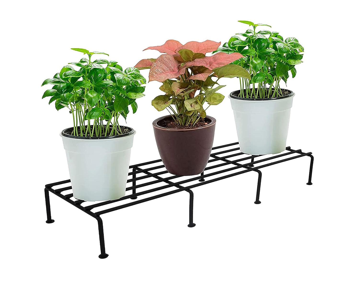 Blumuno Palermo Garden Stand