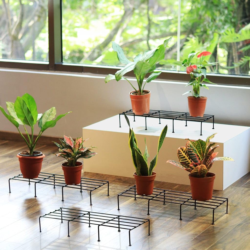 Blumuno Palermo Garden Stand