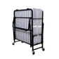 Blumuno Shaurya Rollaway Bed with Spring Mattress