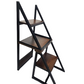 BLUMUNO 2-in-1 Ladder  Chair