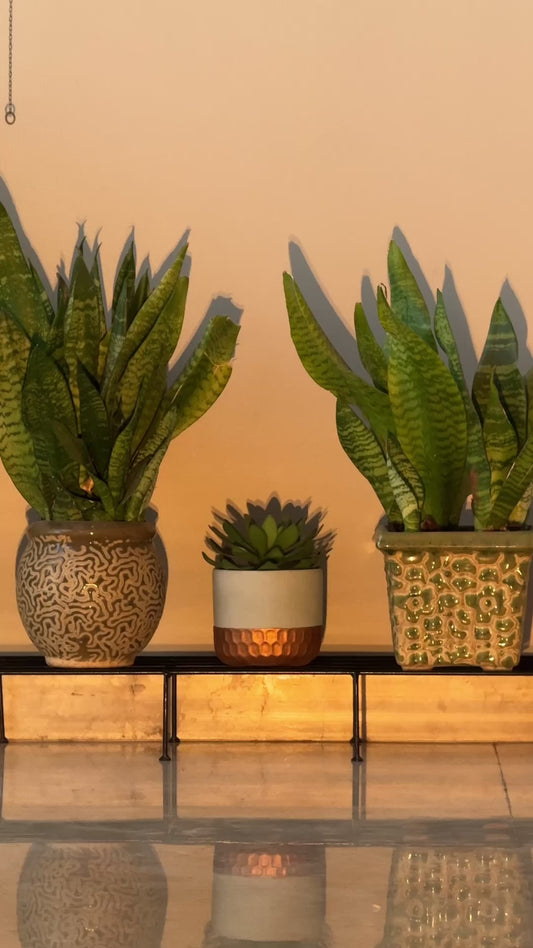 Blumuno Palermo Garden Stand